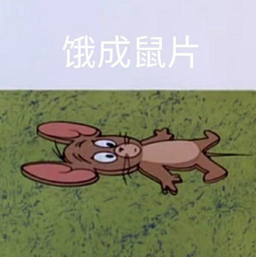 猫和老鼠表情包系列二,可爱的汤姆与杰瑞