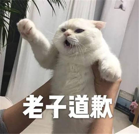 逗比的图片带表情包道歉