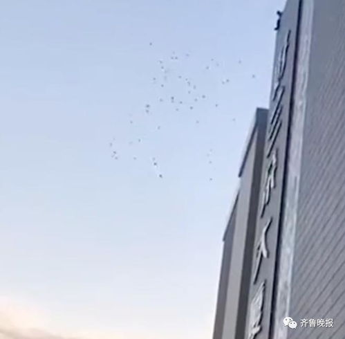 图片头像男40多楼顶