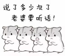 高手过招,招招致命