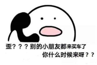 揭密为什么很多人要这样买车