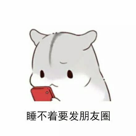 有哪些你难以理解的潮流