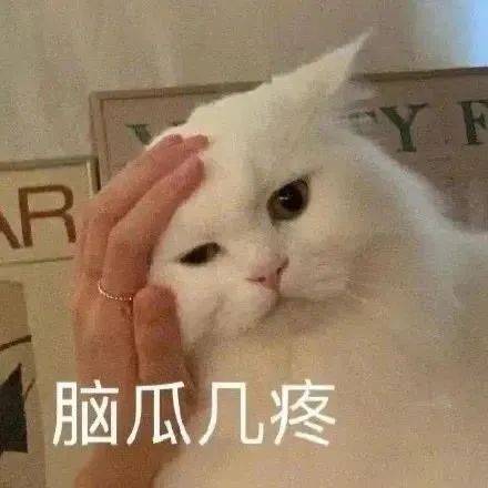 老公抓拍我的大尺度照片曝光,这画风,也太辣眼了吧哈哈哈哈哈哈