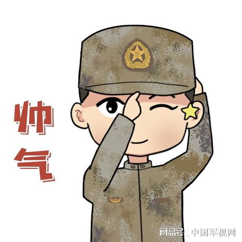 一组超萌兵哥哥表情包来袭,请查收十四