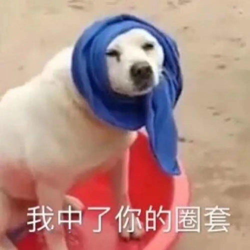 今日表情推荐,115