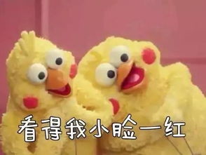 熊本熊已是过气网红有了这只鸡的表情包才能称霸朋友圈