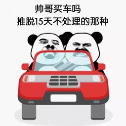表情包帅哥买车吗,推脱15天不处理的那种
