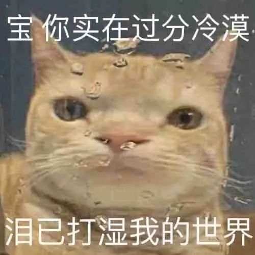 家人们,排雷了关山越新作小娇妻狠狠emo了
