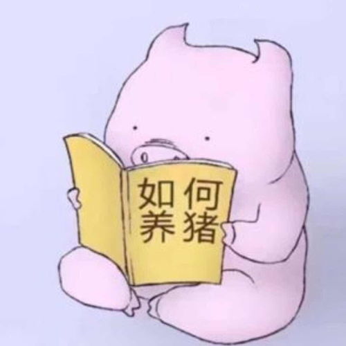 猪头表情包搞笑图片应届生