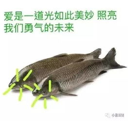 挪威发行咸鱼纸币,这难道就是传说中诡异的光