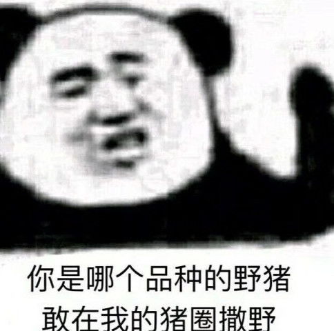 关晓彤长腿熊猫表情包高考