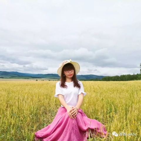 我的教师历程