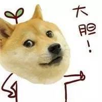 doge表情包微博头像