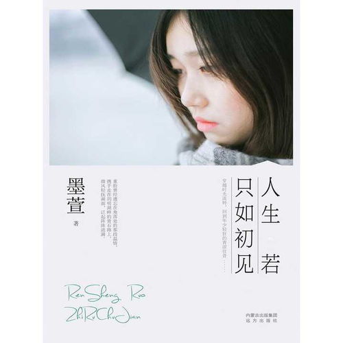 人生若只如初见书籍