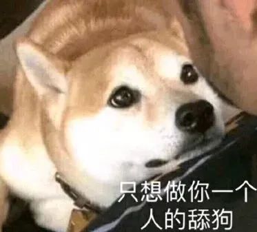 我养的不是狗,而是脚气的搬运工