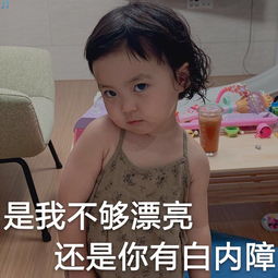 表情包丨跟老子道歉不然你就死