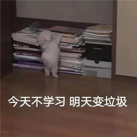 可爱沙雕表情包小哥哥,人家美吗
