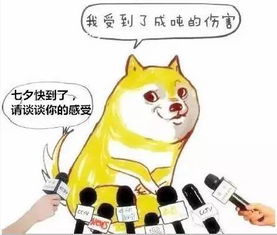 七夕将至,昆明单身汪的七夕就是要这样过感觉爽爆了