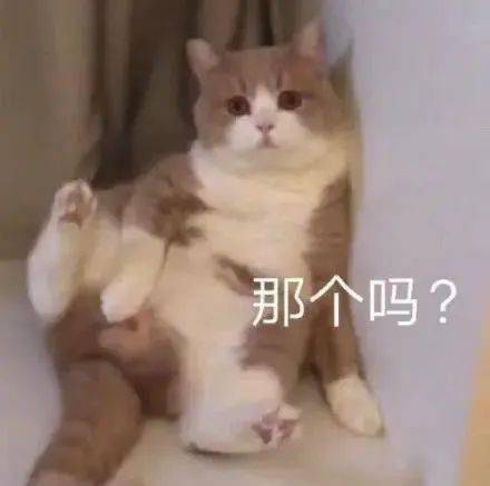 撩妹表情包小姐姐,那个吗