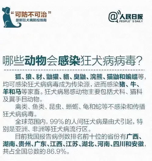 唏嘘6岁男童在惊吓中去世又是因为它父母却只能眼睁睁看着......