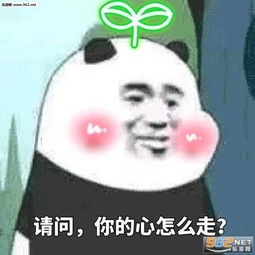 我为什么要减肥我又不是吃不起表情包图片我们绝交五分钟快哄我表情包下载乐游网游戏下载