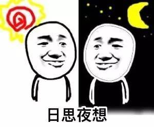 蘑菇头斗图表情包不信夜想