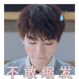 王俊凯凶工作人员你知道还问,是不是我员工其实是在内涵粉丝