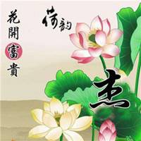 花开富贵微信头像兔微信头像图片大全
