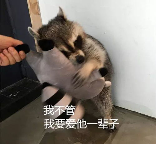 就是别人碗里的最香