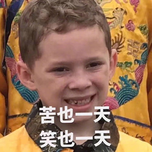 有人了解高校行政吗类似大学辅导员这种