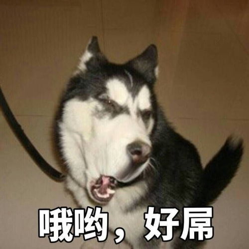 高中三年的奇葩事