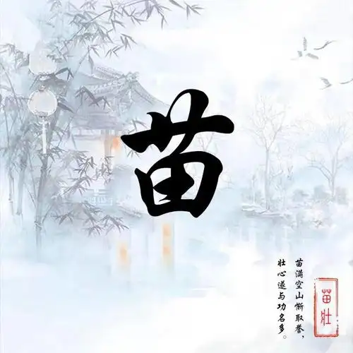 微信头像,姓氏头像,3d金属个性签名头像,喜欢请带走别客气