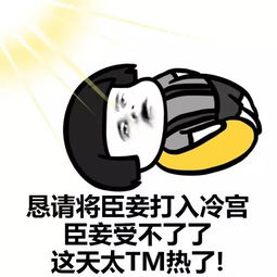 表情包出门两分钟,出汗两小时