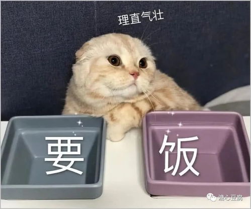 杭州这一间开在咖啡馆里的浙菜馆,值得广东人专程飞来吃吗