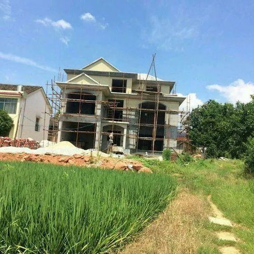 墅图网大叔花65万回乡自建三层别墅,建完后村里人都坐不住了