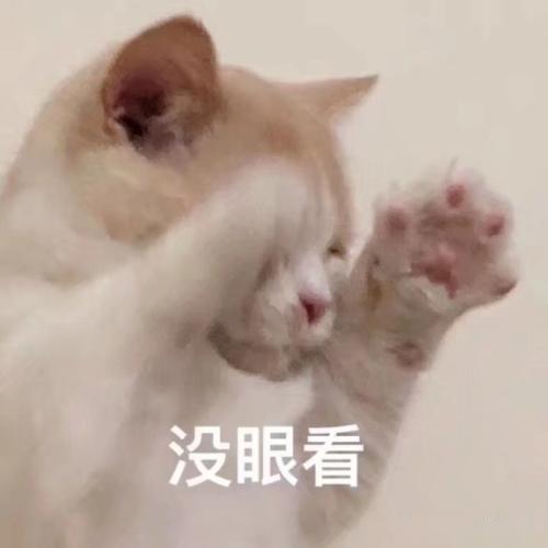 一群猫咪围在下水道旁,其他喵我们不笑你,就瞅瞅,真的不笑
