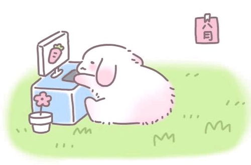 求表情包