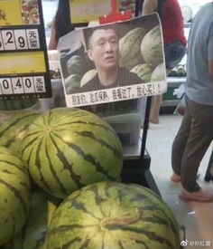 孙红雷买瓜奇遇记,逗得网友哈哈笑