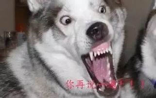 让男生抓狂的这些话,用英语怎么说