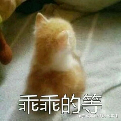 好看的民国耽美bl有哪些推荐