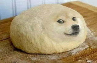 精神污染doge为什么这么火最新doge表情相关图片信息