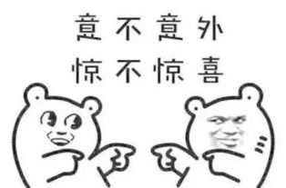 神武2宠物主题表情包来啦现在开始带着宝宝到处跑吧