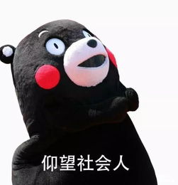 在成都住了20年,你竟然不知道猛追湾曾叫母猪湾