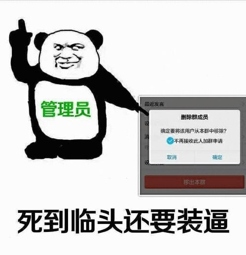 搞笑你就别在追问了我今年刚满五十五岁