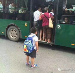 辽阳人图片秀