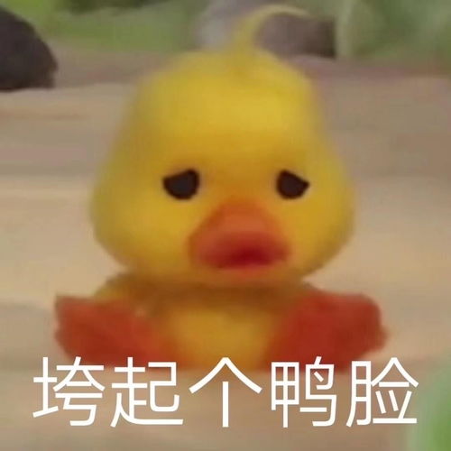 在飞机上被空姐问是你的小黄鸭吗