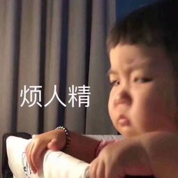 别再骗我了聋哑老人卖板栗,有人假装扫码不付钱