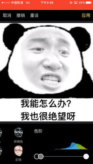 最全的表情包制作教程,微信聊天你最棒