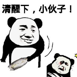 2021考研备考计划,现在开始准备才不会太迟