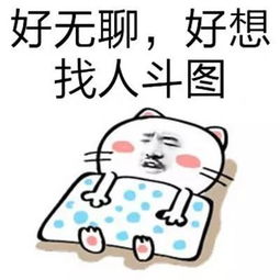 最近收藏了不少新表情包,谁来应战斗图